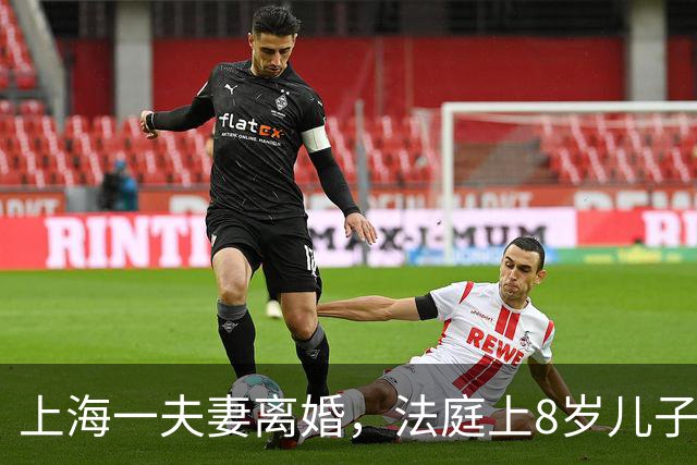 上海一夫妻离婚，法庭上8岁儿子突然举手问法官，他能说件事么