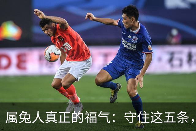 属兔人真正的福气：守住这五条，余生安稳顺遂