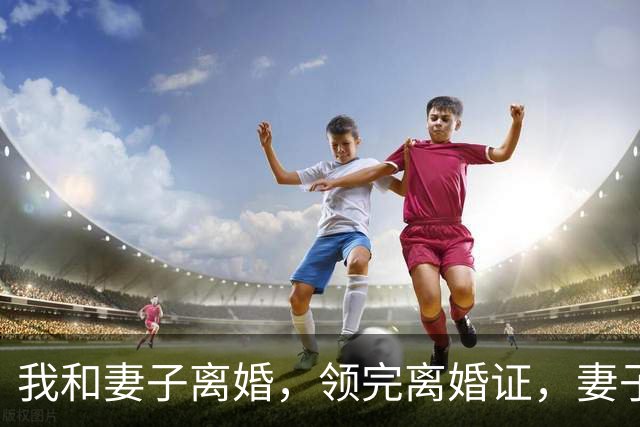 我和妻子离婚，领完离婚证，妻子突然说：“老赵，跟你说个事。”