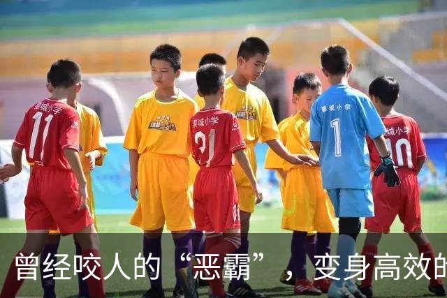 曾经咬人的“恶霸”，变身高效的“野兽”