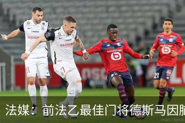 法媒：前法乙最佳门将德斯马因脑震荡后遗症宣布退役