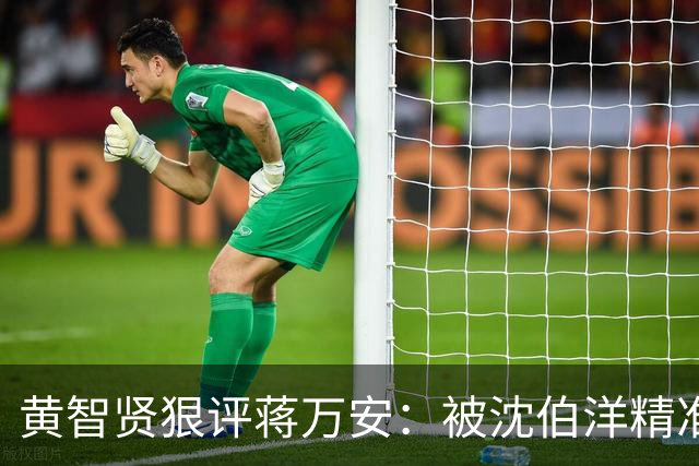 黄智贤狠评蒋万安：被沈伯洋精准拿捏、全程跟风被动