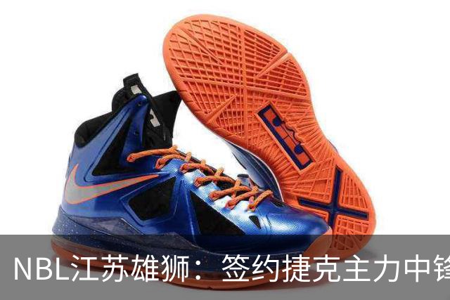 NBL江苏雄狮：签约捷克主力中锋昂德雷-巴尔文