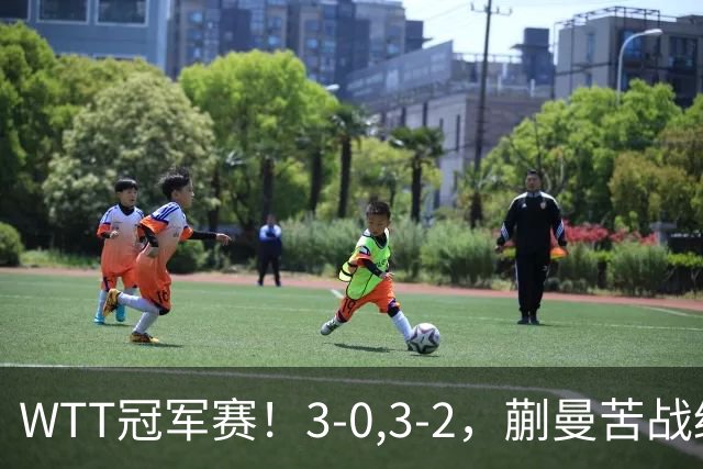 WTT冠军赛！3-0,3-2，蒯曼苦战绝杀，王曼昱有些惊险，国乒5连胜
